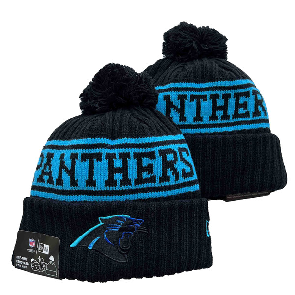 Carolina Panthers knit Hats 029